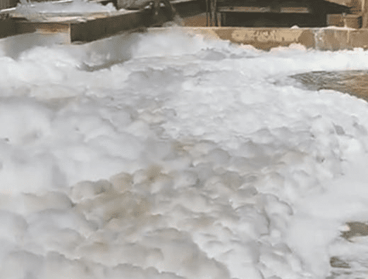 (圖:動物屠宰廢水起泡原因)