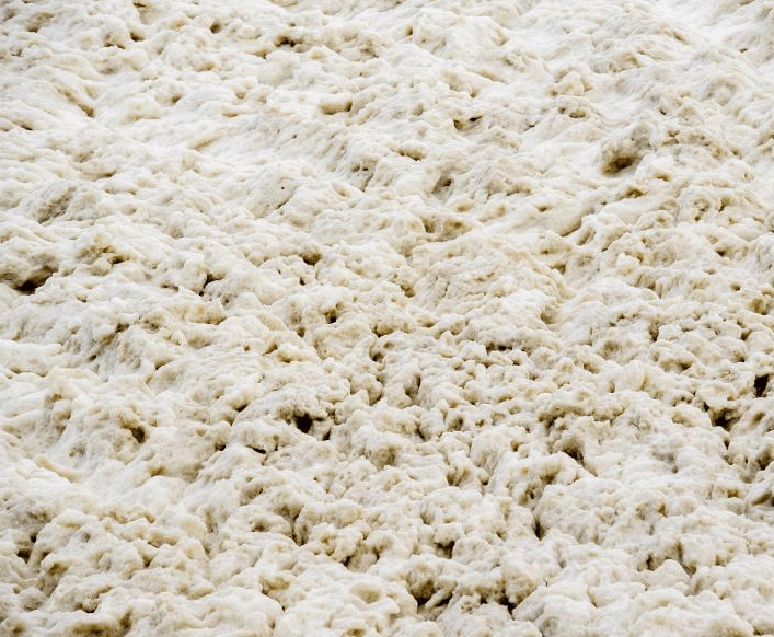 (圖:動物屠宰廢水泡沫危害)