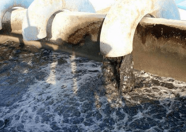 （圖：養殖場污水泡沫處理池）